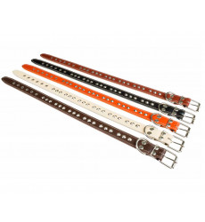 Ошейник Для Собак Брава №36 2 Слоя с Металлофурнитурой Арт078