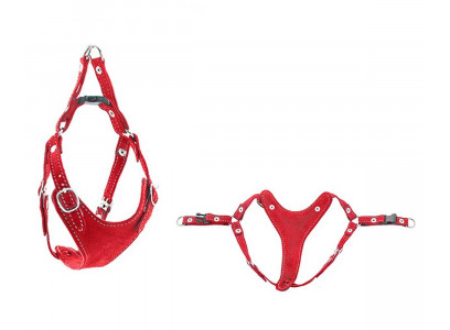 Шлейка Для Собак Мелких Пород Дарелэнд Ева M Быстросъемная 24-32см*30-40см Da030212 