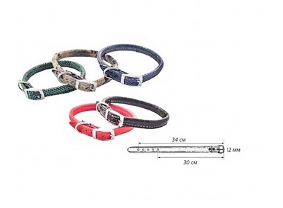 Ошейник Для Собак Мелких Пород Cold 6мм*30-34см Кожа Цветной ZooM Da410213