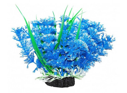 Растение Для Аквариума Уют Амбулия Голубая с Кружевными Листьями 12см Вк315