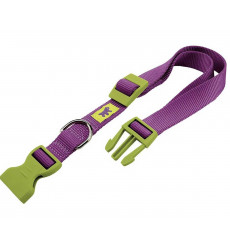 Ошейник Для Собак Средних и Крупных Пород Ferplast (Ферпласт) Club Colours C25/70 25мм*45-70см Нейлон Фиалковый 75265902