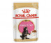 Влажный Корм Royal Canin (Роял Канин) Для Котят Породы Мейн-кун Kitten Maine Coon 85г (1*12) 