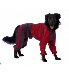 Комбинезон Для Собак Породы Эрдельтерьер Тузик Теплый Кобель