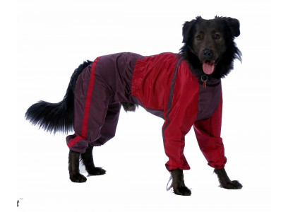 Комбинезон Для Собак Породы Эрдельтерьер Тузик Теплый Кобель