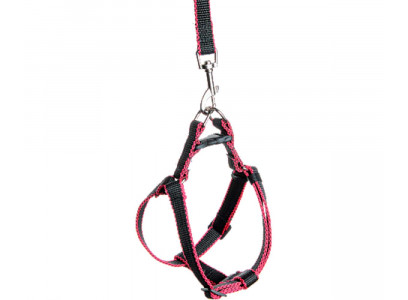 Комплект Поводок 2м+Шлейка 20мм Лента Капрон Зооник 1349