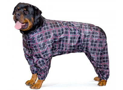 Комбинезон-Дождевик  Для Собак Крупных Пород Гамма Ротвейлер 62см