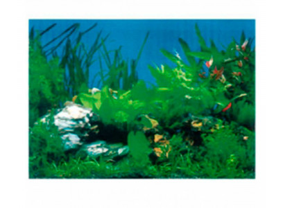 Фон Для Аквариума Triton (Тритон) Белый Камень Водоросли 30см 1м 090030 