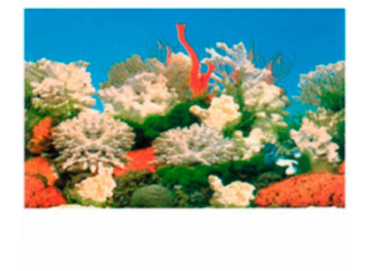 Фон Для Аквариума Triton (Тритон) Белый Коралл 40см 1м 040040 