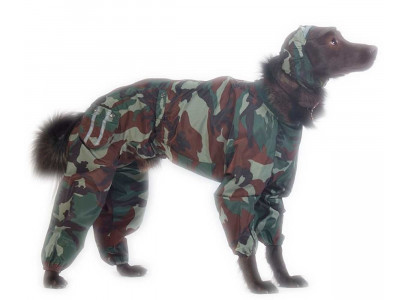 Комбинезон Для Собак Породы Черный Терьер Женский Тузик Холодный Камуфляж 