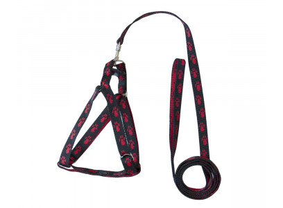 Комплект Для Собак Зооник Шлейка-Поводок 1,5м 15мм*5 Стропа С Лапками 1327
