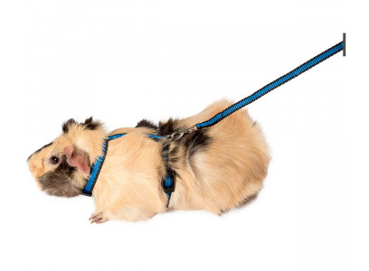 Комплект Поводок+Шлейка для Морской Свинки Гамма Прогулка 130*190*80мм 10*1200мм 41462001