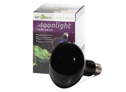 Лампа Для Террариума Repti Zoo Reptinightglow 150Вт Ночная D95150 83725017