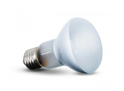 Лампа Для Рептилий Для Террариума Repti Zoo (Репти Зоо) BeamSpot B63050 50Вт Точечного Нагрева 83725019 