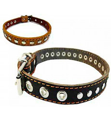 Ошейник Для Собак Мелких и Средних Пород Брава №20 с Подкладом Украшенный Кольцо Посередине Арт615