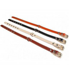 Ошейник Для Собак Брава №25 2 Слоя Не Украшен Кольцо Посередине Арт626