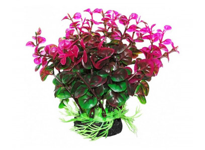 Растение Для Аквариума Уют Бакопа Зелено-Фиолетовая 12см Вк309