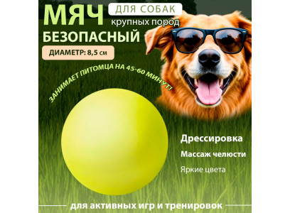 Игрушка Triol (Триол) Мяч-Неон 85мм Винил 12101174 