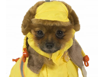 Шапка Для Собак Тузик Унисекс Теплая с Мехом №5