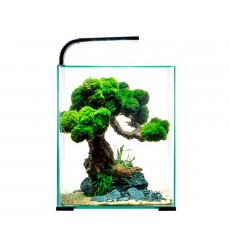 Аквариум Aquael (Акваэль) Shrimp Set Day & Night 10 10л Черный 122976