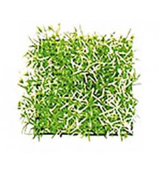 Растение-Коврик Для Аквариума Triton (Тритон) Пластик 0523 25х25х9см 