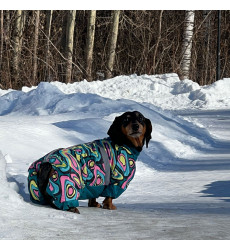 Комбинезон Зоофортуна Зима Девочка Такса Большая 47см С718847