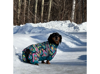 Комбинезон Зоофортуна Зима Девочка Такса Большая 47см С718847