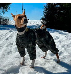 Комбинезон Для Собак Средних Пород Зоофортуна Зима Мальчик Басенджи 40см С767740