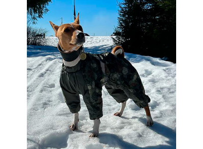 Комбинезон Для Собак Средних Пород Зоофортуна Зима Мальчик Басенджи 40см С767740