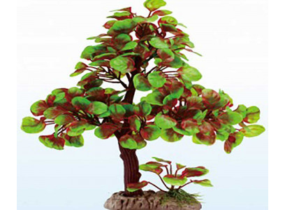 Грот Marlin (Марлин) Дерево Бонсай Ym-3029 35-38см