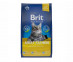 Сухой Корм Brit (Брит) Для Кошек Лосось Premium Cat Adult Salmon 800г 5049608 