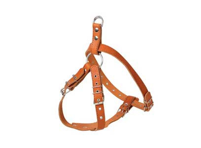 Шлейка Для Собак Corex (Корэкс) 70*60-90см*1,4см Средняя 1 Слой Кожа 2318-24011 