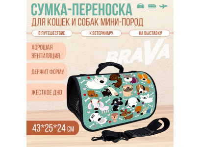 Сумка-Переноска Brava (Брава) Барбоскины Zd-3-86-322-2 43*25*24см 