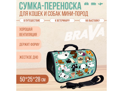 Сумка-Переноска Brava (Брава) Барбоскины Zd-3-86-322-3 50*25*28см 