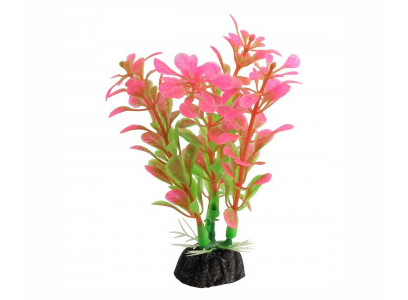Растение Laguna (Лагуна) Альтернатера Розовая 100мм 74044113