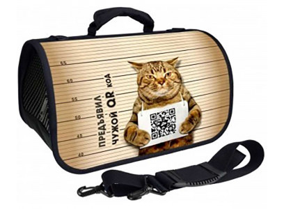 Сумка-Переноска Brava (Брава) Qr-Код Zd-3-127-322-2 43*25*24см