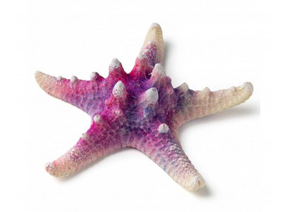 Грот Кс-1020 Звезда Остроконечная Фиолетовая