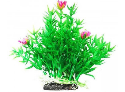 Растение Уют Гемиантус с Розовыми Цветами 12см 40389