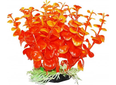Растение Уют Бакопа Оранжевая 12см 40433