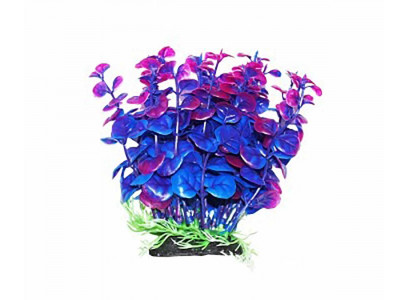 Растение Уют Бакопа Сине-Фиолетовая 12см 40426