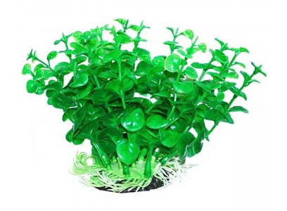 Растение Уют Бакопа Зеленая 12см 40372