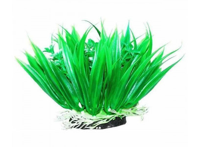 Растение Уют Осока 12см 40471