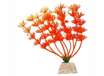 Растение Уют Амбулия Оранжевая 10см 40105