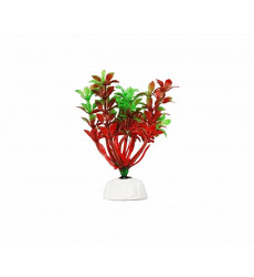 Растение Уют Гемиантус Красно-Зеленый 10см 40082