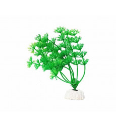 Растение Уют Амбулия Зеленая 10см 40037