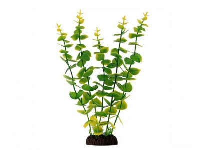 Растение Уют Бакопа Зелено-Желтая 12см 40044