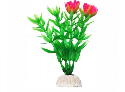 Растение Уют Гетерантера Зеленая с Розовыми Цветами 10см 40013