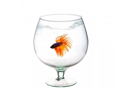 Аквариум Бокал Неман 12л 29*39,2см 6205 