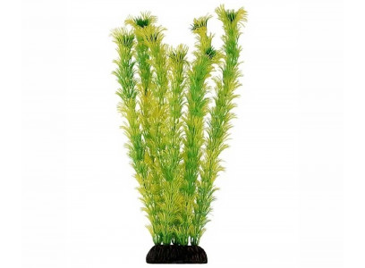 Растение Амбулия Салатовая 30см М009/30 919051