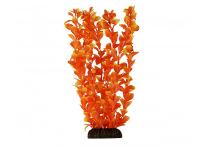 Растение Laguna (Лагуна) Людвигия Оранжевая 300мм 74044042