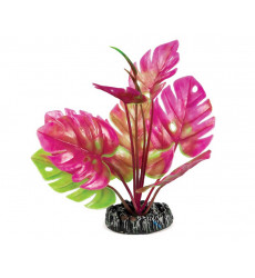 Растение Laguna (Лагуна) Монстера 200мм 74044195